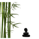 Bambus mit Lavastein