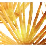 Palm Leaf Vector